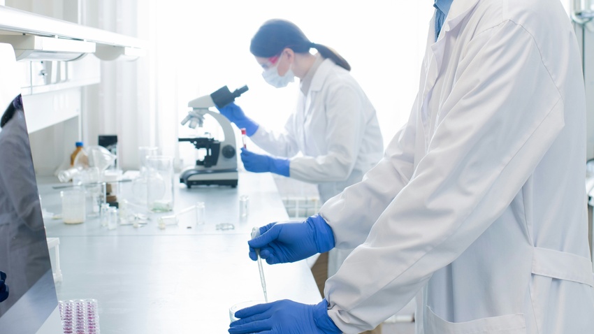 Two lab technicians studying peptides